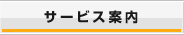 �T�[�r�X�ē�